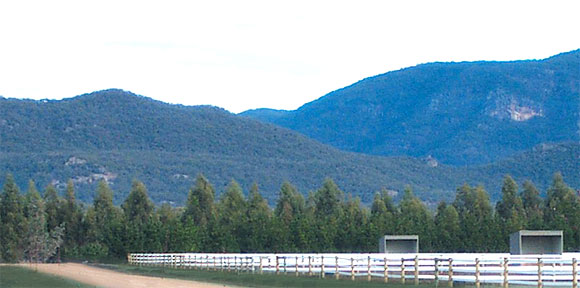 Hillcroft Stables mountain view